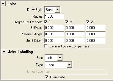 Label Joints GUI