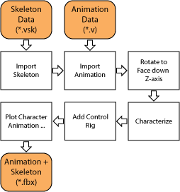 Import Process