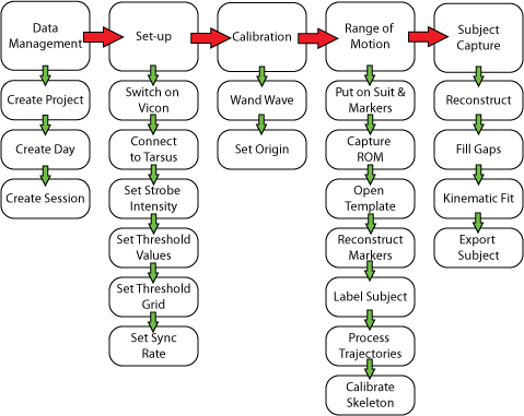 Step-by-Step Overview